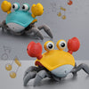 Jouet crabe interactif disponible en deux couleurs bleu et orange avec effets sonores et lumineux