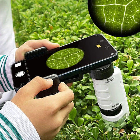 Microscope VisionKid connecté à un smartphone affichant les détails agrandis d’une feuille verte