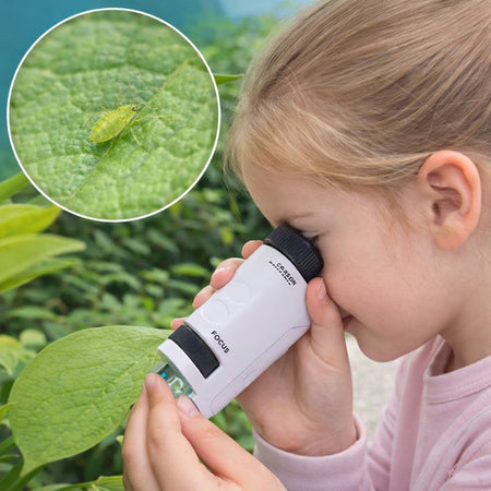 Enfant observant une feuille avec un microscope de poche VisionKid pour découvrir les insectes et détails naturels