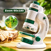 Microscope VisionKid montrant les cellules d’une feuille avec fort grossissement