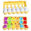 boîte complète d’œufs géométriques Montessori avec formes colorées à associer