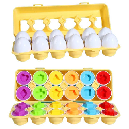 boîte complète d’œufs géométriques Montessori avec formes colorées à associer